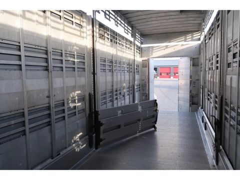 Pezzaioli SBA 31 - Cattle transport - 2016 | Companjen Bedrijfswagens BV [14]