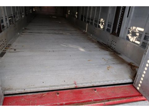 Pezzaioli SBA 31 - Cattle transport - 2016 | Companjen Bedrijfswagens BV [23]
