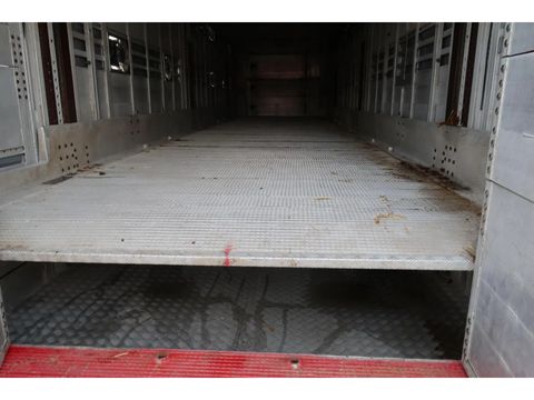 Pezzaioli SBA 31 - Cattle transport - 2016 | Companjen Bedrijfswagens BV [25]