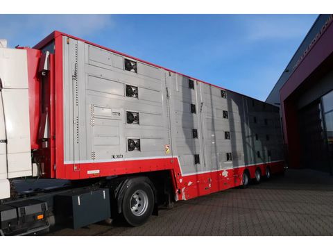 Pezzaioli SBA 31 - Cattle transport - 2016 | Companjen Bedrijfswagens BV [4]