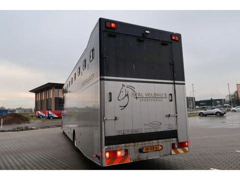 Mercedes-Benz Horse transport | Companjen Bedrijfswagens BV [3]