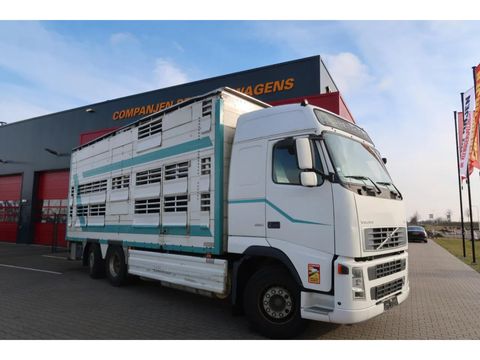Volvo FH 480 Cattle transport | Companjen Bedrijfswagens BV [31]