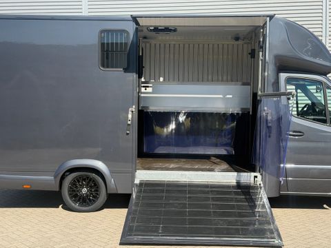 Mercedes-Benz 314CDI Paardenwagen Horsetruck TVW Hengsten Uitvoering L3 Automaat Airco | Van Nierop BV [27]