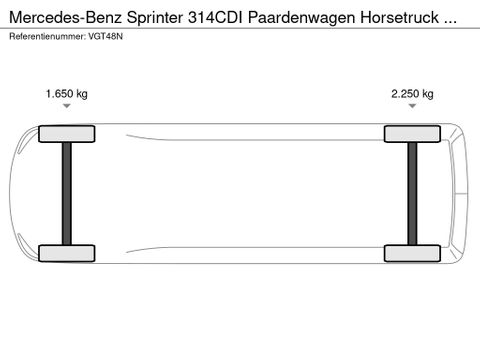Mercedes-Benz 314CDI Paardenwagen Horsetruck TVW Hengsten Uitvoering L3 Automaat Airco | Van Nierop BV [37]