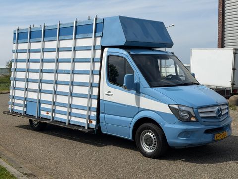 Mercedes-Benz 313CDI Glasresteelwagen 180,000KM 3 Zits  4,32 Wielbasis | Van Nierop BV [2]