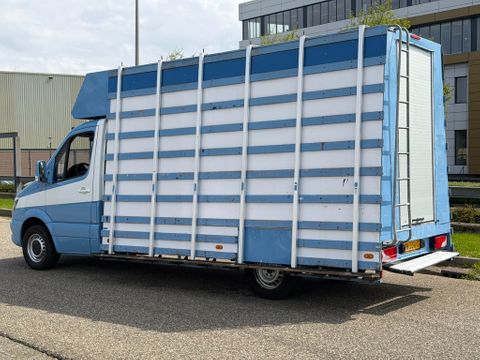 Mercedes-Benz 313CDI Glasresteelwagen 180,000KM 3 Zits  4,32 Wielbasis | Van Nierop BV [5]
