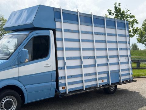 Mercedes-Benz 313CDI Glasresteelwagen 180,000KM 3 Zits  4,32 Wielbasis | Van Nierop BV [7]
