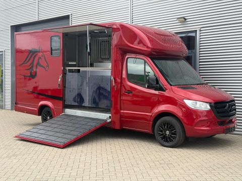 Mercedes-Benz 317CDI Paardenwagen-Hengsten Uitvoering Automaat Airco Navi Cruisecontrol 70,000KM | Van Nierop BV [2]