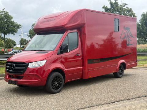 Mercedes-Benz 317CDI Paardenwagen-Hengsten Uitvoering Automaat Airco Navi Cruisecontrol 70,000KM | Van Nierop BV [3]