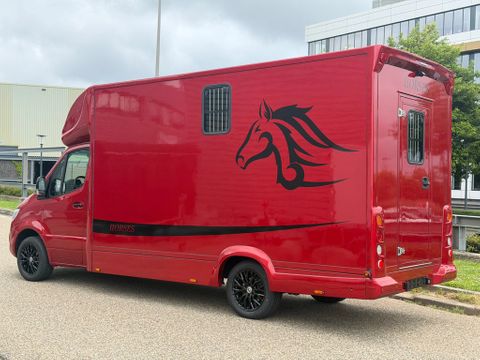 Mercedes-Benz 317CDI Paardenwagen-Hengsten Uitvoering Automaat Airco Navi Cruisecontrol 70,000KM | Van Nierop BV [8]