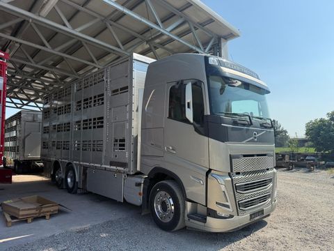 Volvo FH5 500 4 Deks Pezzaioli compleet | Companjen Bedrijfswagens BV [4]