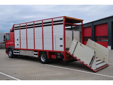 DAF CF85EDN3 MOTOR NR A-23401 1 Owner | Companjen Bedrijfswagens BV [4]